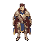 a paladin