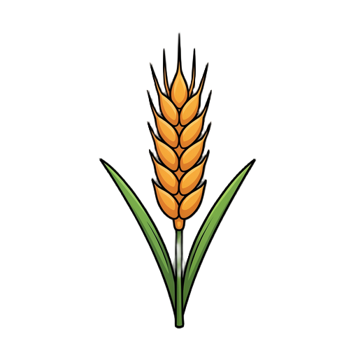 wheat