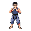fighter