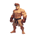 fighter