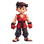 fighter
