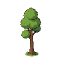 ein schmaler baum 