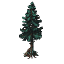 arvore 