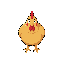 chicken