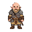 a dwarf warrior