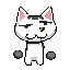 a cat