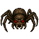 spider