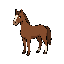 cavalo marrom