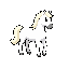 cavalo branco