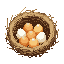 add more eggs in the nest
