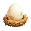 chicken egg nest