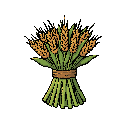 bunch of crops bundled