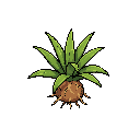 plant fibers
