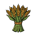 bunch of crops bundled