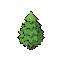 pine tree