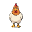 chicken