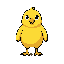 yellow bird