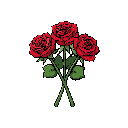 rosas vermelhas