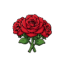 rosas vermelhas
