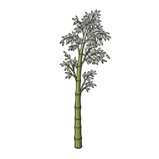 bamboo 