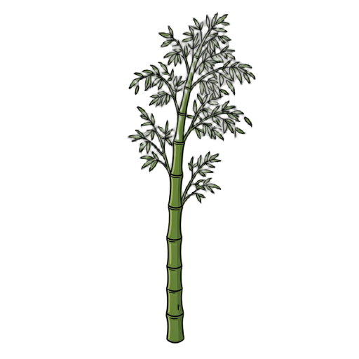 bamboo 