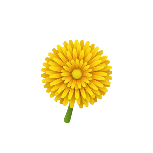 yellow dandelion