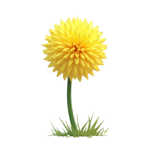 yellow dandelion