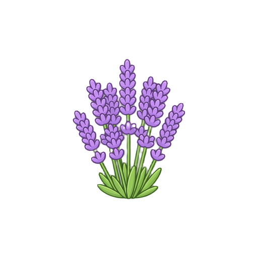 lavender