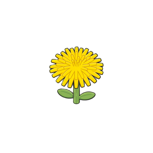 yellow dandelion