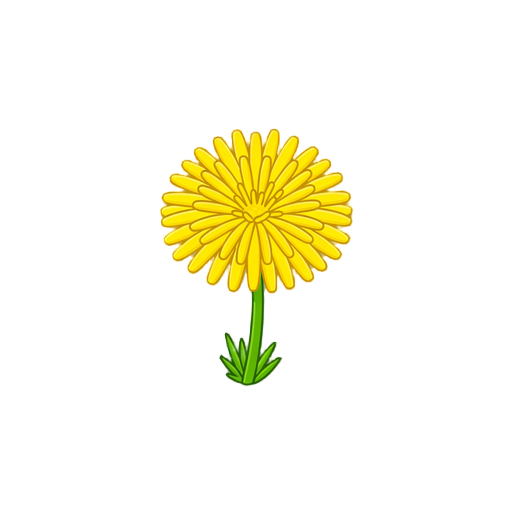 yellow dandelion