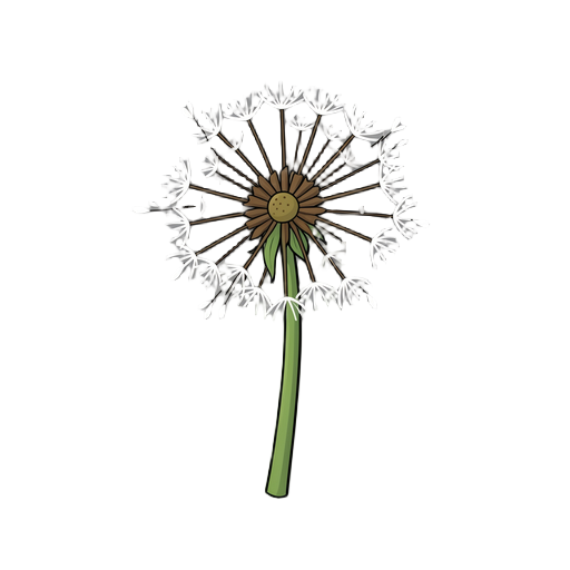 dandelion