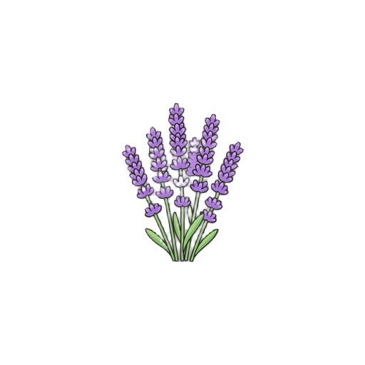 lavender