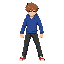 pokemon style