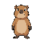 capivara