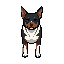 crie uma imagem em pixel arte utilizando este cachorro como referencia e a imagem em pixel arte como referencia do estilo que vá usar, se atente aos detalhes do cachorro que o fazem ser único, e também se atente aos detalhes da arte, como nao ter pixels d