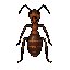 - 2d only - front view only -fantasy rpg ant warrior aesthetic full body - playable game character - idle pose - no background - ant insect