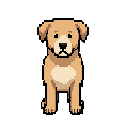 homles light-brown dog