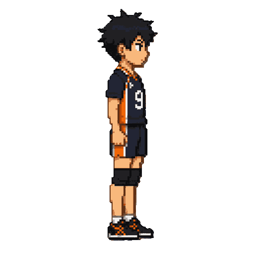 idle male anime volleyball player