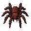   top-down pixel art sprite of a giant menacing spider, muonline dark-fantasy   arpg style. large hairy arachnid seen from a high 3/4 top-down angle (bird's   eye, same perspective as classic 2000s isometric mmorpg monsters). bulbous   segmented abdomen, 