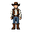 cowboy 