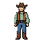 cowboy 