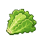 alface