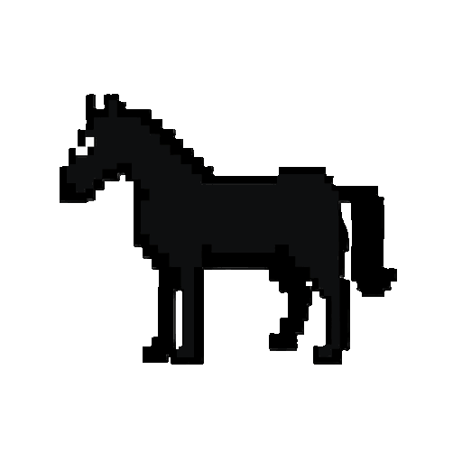 horse black