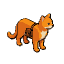 an orange cat with a small bag