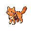 an orange cat with a small bag