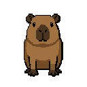 128 pixel art of a cute friendly capybara, front view facing forward. centered, stable posture. medium brown fur, dark brown snout with y-shaped nose, dark feet, small round ears, black dot eyes. solid flat gray background, clean video game sprite.