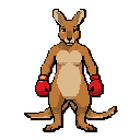 an adult kangaroo with a boxing glove in a fighting stance