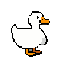 white duck