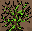 32x32 pixel art minecraft leaves block texture, intense tim burton the nightmare before christmas style, gnarled and twisted bare branch structure, sickly toxic green slime moss entangled within, sharp jagged black outlines, small integrated skull silhoue
