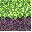 32x32 pixel art minecraft grass top block texture, basic tim burton color palette, toxic slime green and pale sickly lime moss highlights, dark desaturated purple shadows, clean simple pixel grid, high contrast dark outlines, minimal details, seamless til